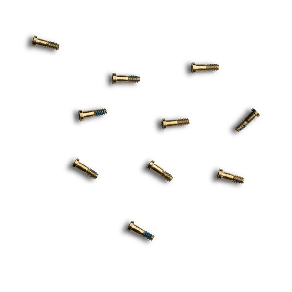 iPhone 6 Full set of screws Gold